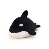 Цвет косатки-Пальма Gem