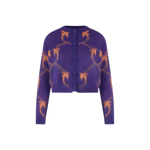 PINKO Фиолетовые Женские Свитера