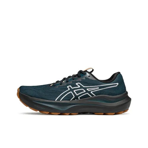 ASICS GT 2000 14 TR Дышащие Беговые Кроссовки Мужские Синие Зеленые