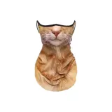 Оранжевый Желтый Кошка