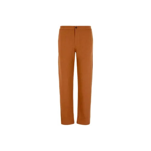 GIORGIO ARMANI Коричневый Мужской Повседневный Брюки