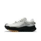 Антарктический серый