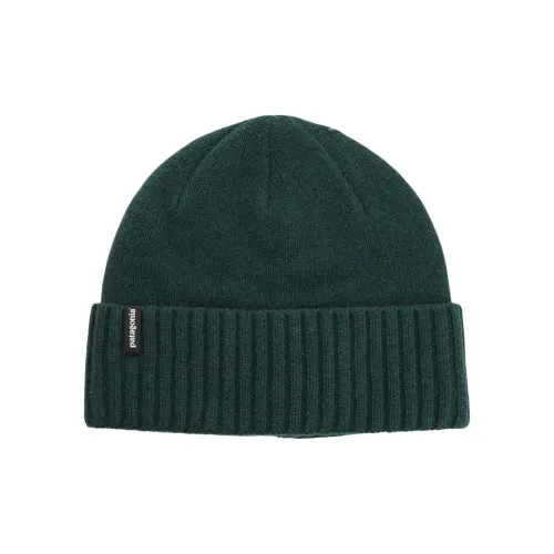 Patagonia Шапки-бини Унисекс Темно-зеленый