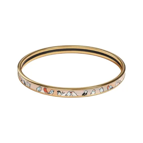 HERMES Эмаль Браслеты Женские Многоцветные