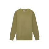 Вечнозеленое дерево