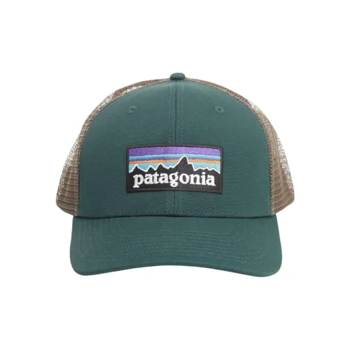 Patagonia Organic Cotton Кепки Унисекс Зеленый
