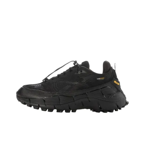 Reebok совместный бренд ZIG KINETICA 2,5 EDGE Повседневная беговая обувь Унисекс Черный