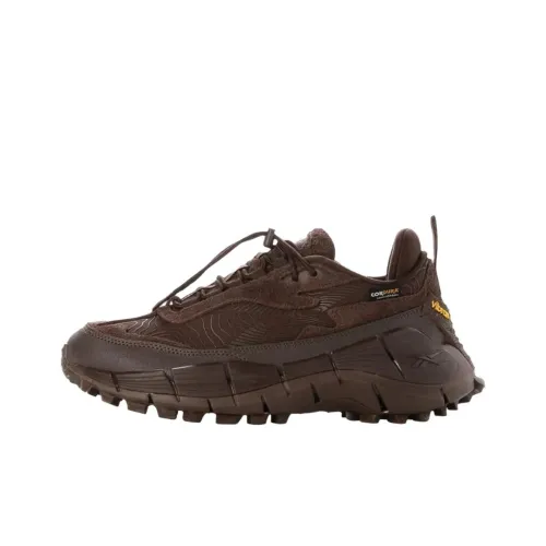 Reebok совместный бренд ZIG KINETICA 2,5 EDGE Повседневная беговая обувь Унисекс Коричневый