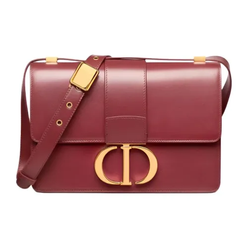 DIOR 30 Montaigne Полированная телячья кожа Сумка через плечо Женская Кирпично-красный