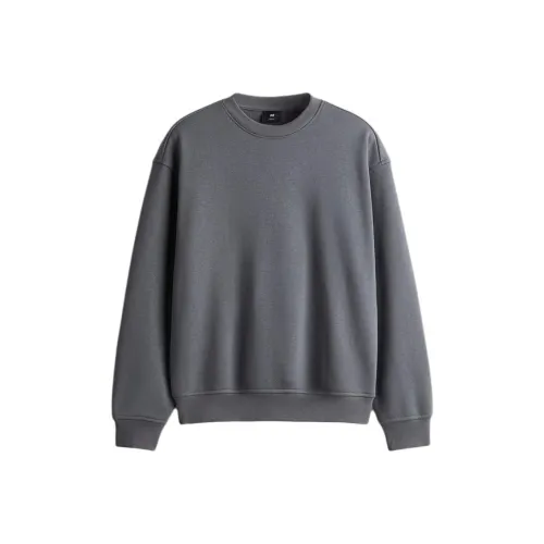 H&M Темно-серый Мужской Свитшот