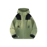 Кедр Зеленый