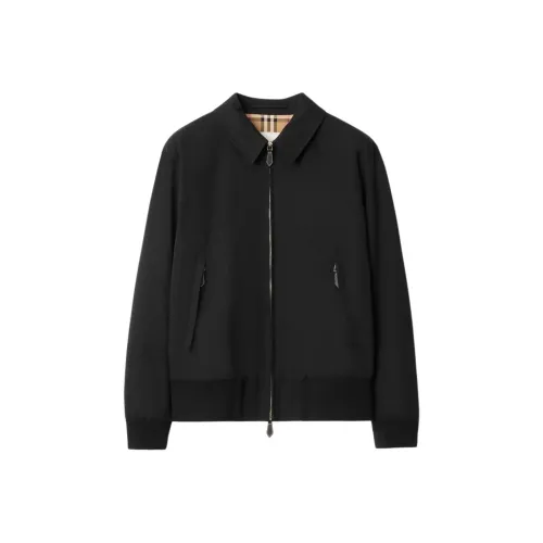 Burberry FW25 Хлопковый пуховик Мужской