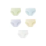 [5-Штук Набор] Травяной Зеленый + Далекий Небесный Лазурь + Таро Фиолетовый + Лимонная Соль Желтый + Туман Белый