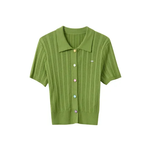 3COLOUR Матча Зеленый Женский Трикотаж