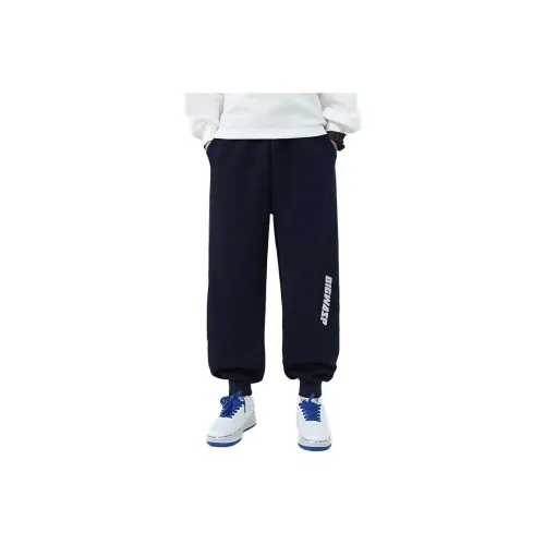 BIG WASP Мальчики Тренировочные брюки Весна-осень Средняя школа