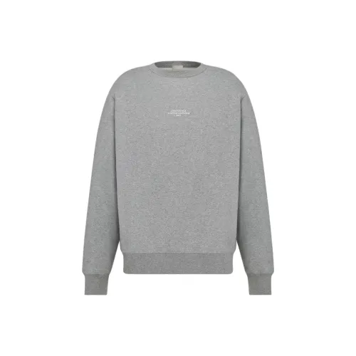 DIOR Серый Мужской Свитшот