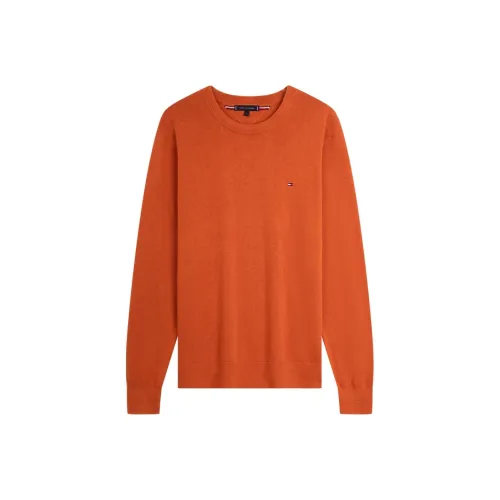 Tommy Hilfiger Мужской Трикотаж