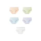 [5-Штук Набор] Кремовая кожа + Травяной зеленый + Далекий небесный циан + Таро фиолетовый + Туманно-белый