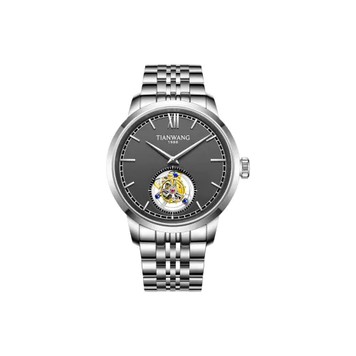 TIANWANG Tienjiao Tourbillon Fly Reel Collection Механизм с ручным заводом часы с ремешком из нержавеющей стали