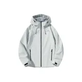 Ледниково-серый