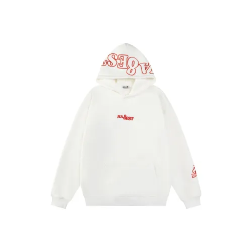 LSVE Женские Свитшоты