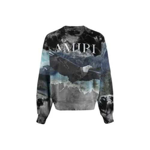 AMIRI Черный Мужской Свитшот