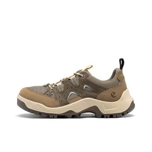 Ecco Off ROAD Series Низкий Топ Повседневная Обувь Мужская