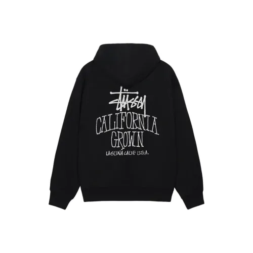 Stussy FW25 SS25 Cali GROWN ZIP Толстовка Свитшот Унисекс