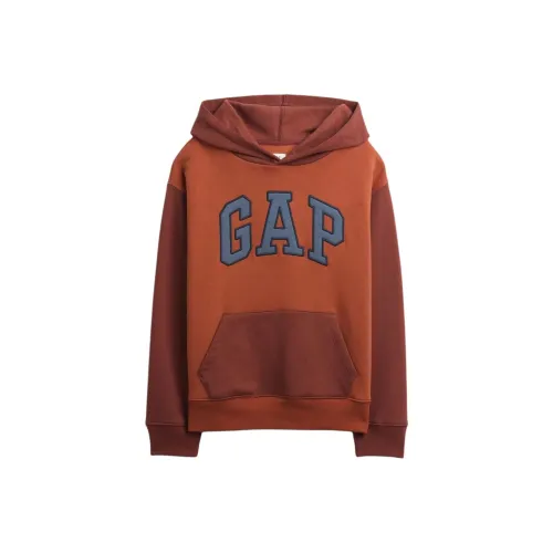 GAP Коричневый Kids Свитшоты