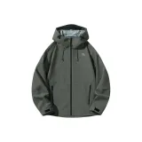 Оливково-серый