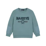 Астрономия Зеленый