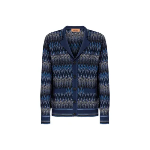 MISSONI Серый Синий Мужские Свитера