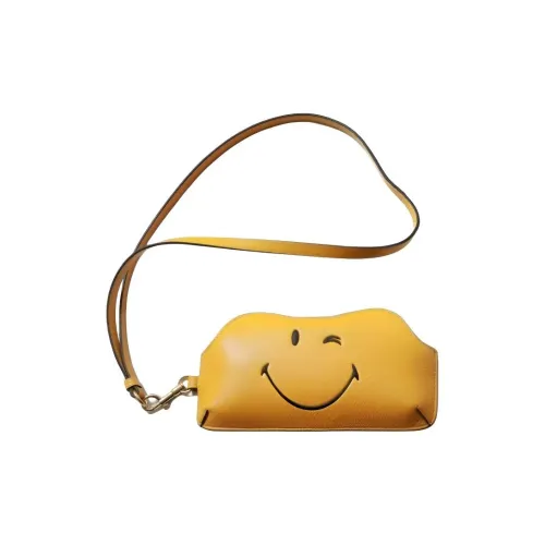 Anya Hindmarch Чехол для очков из козьей кожи стандартный женский желтый