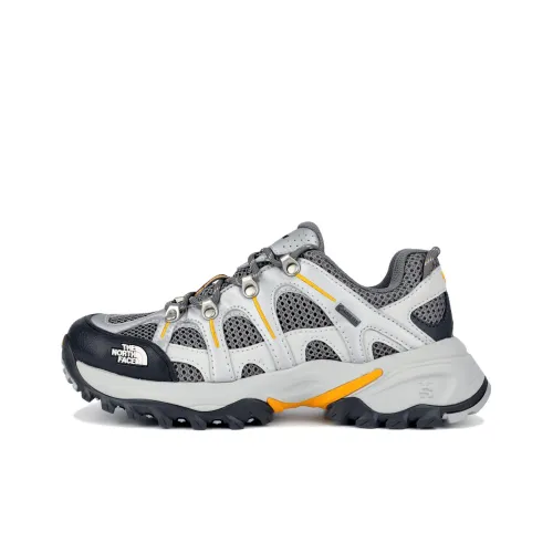 THE NORTH FACE Hedgehog 06 Водонепроницаемый, поддержка, сцепление, походная обувь, унисекс, серебряный