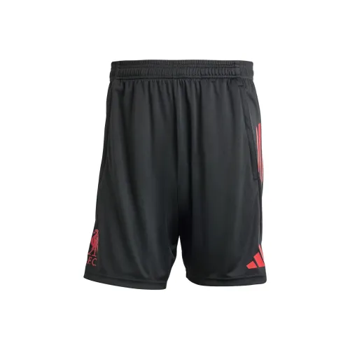 Adidas TIRO 25 LIVERPOOL FC Футбол Низ Мужской