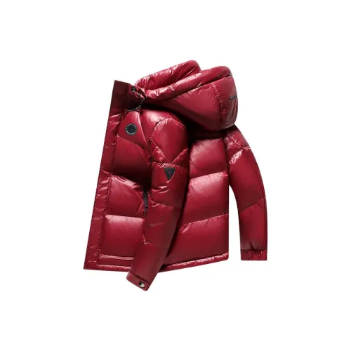 PIERRE CARDIN Пуховик Мужской