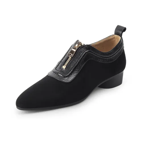 Echo yolo Заостренный носок Передняя часть Молнии Однотонный Винтаж Грубый каблук Женские повседневные туфли