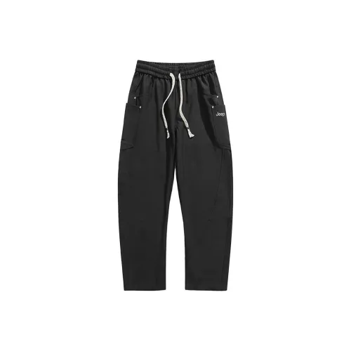 Jeep Унисекс Повседневные Штаны