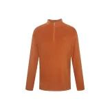 Пальма Желтая (G5QTX0082Y)