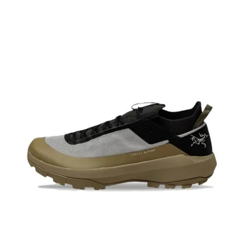 Arcteryx Vertex Alpine Дышащий и Легкий Низкий Топ Альпинистские и Туристические Ботинки Мужские Коричневый Серый