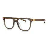 BJ3223B21 Прозрачный Коричневый Оправа