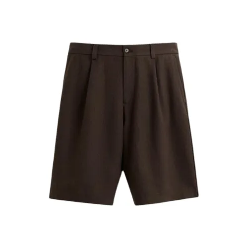 ZARA Коричневые Мужские Повседневные Шорты