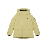 Циан Оливковый