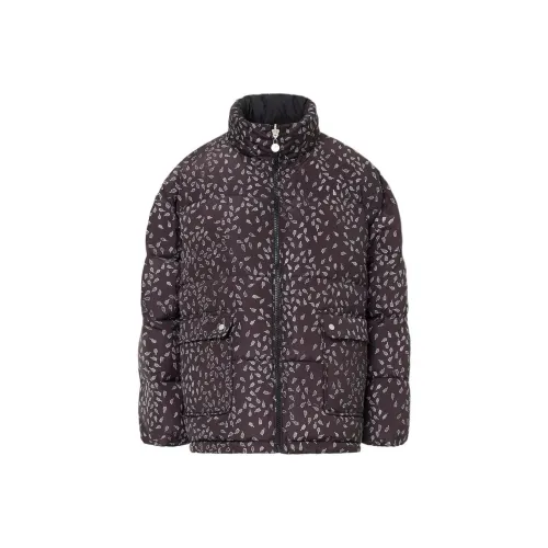 Цвет айсберга FW25 Пуховик Женские