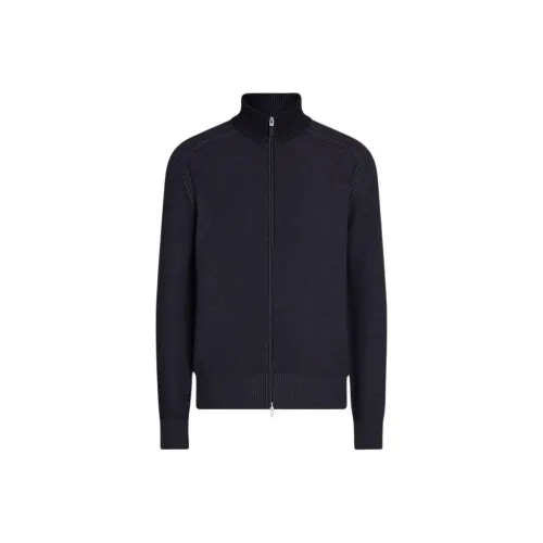 Ermenegildo Zegna Морской Синий Мужской Кашемировые Свитера