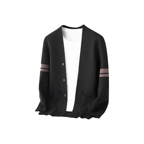 PIERRE CARDIN Одежда Топ Свитер Мужской