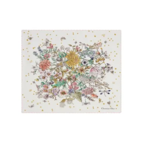 DIOR Шелковые шарфы Женские Многоцветные