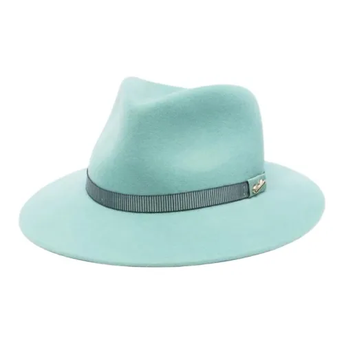 Borsalino Шерсть Шапки и Кепки Мужские Зеленые