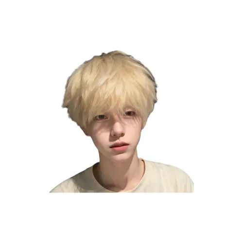 LIANXIANGKE Экрю Мужской Короткий Волосатый Перука Укороченная Полная Голова Комплект Мужские Искусственные Волосы Высокотемпературная Пряжа