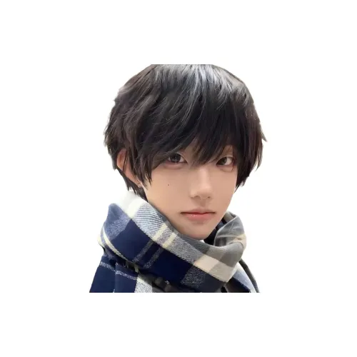 LIANXIANGKE Перука Мужская Короткая Волосы Черная Коричневая Матовая УНИВЕРСАЛЬНАЯ Косплей Корейский Стиль Полная Перука Высокотемпературная Пряжа